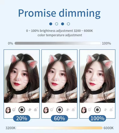 Phone Stand with Mirror