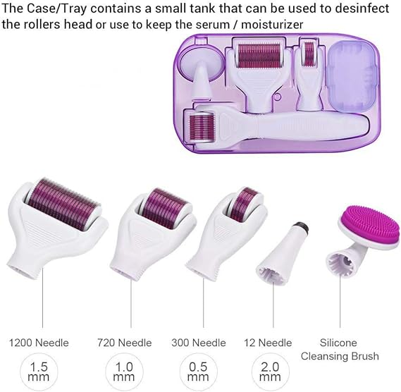 6 in 1 Derma Roller System