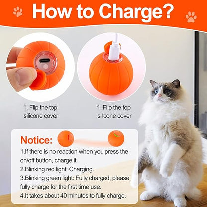Small Bouncing Ball for Pets Gadget